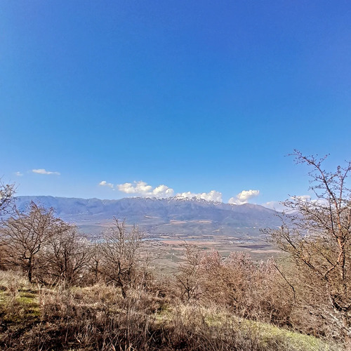 Буритау, buritay
